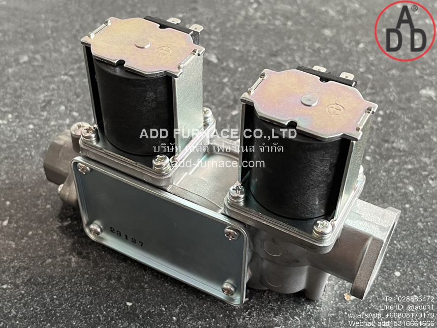 WS-102-100 AC200V (11)